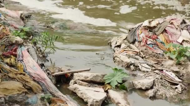 Fluss Der Mit Verschiedenem Müll Und Abfall Verschmutzt Ist — Stockvideo