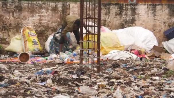 Man Packing Plastic Bottles Sack Waste Disposal Area — Stock Video