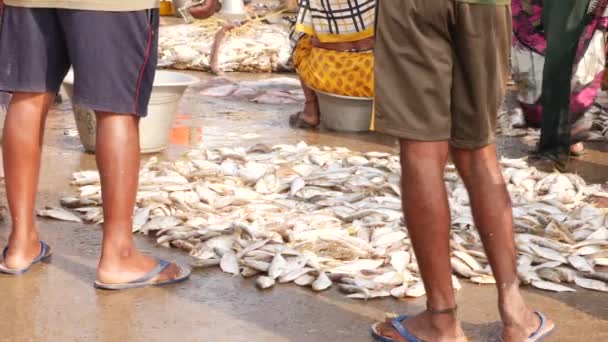 歩く人々 2人の男性の下の体は床に魚で捕獲 チララ魚市場 インド 12月2022 — ストック動画
