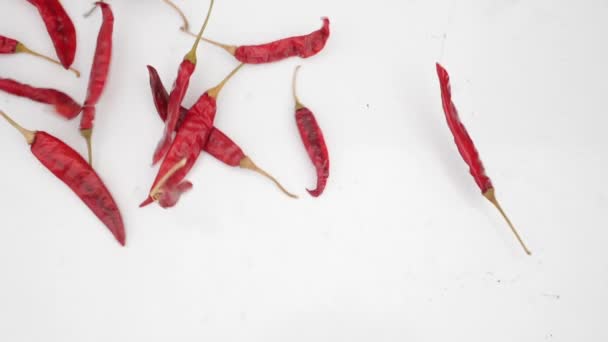 Padající Červené Sušené Chilli Papričky — Stock video