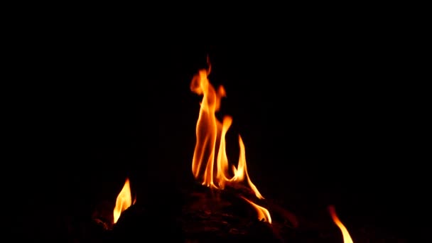 Oheň Spalující Položku Hořící Nahoru Černé Pozadí — Stock video