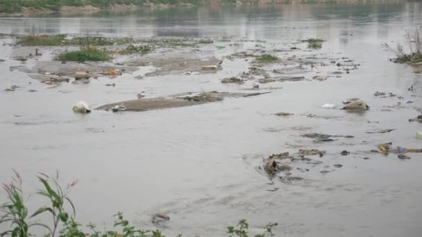 Residuos Basura Basura Flotaban Río Contaminado — Vídeo de stock