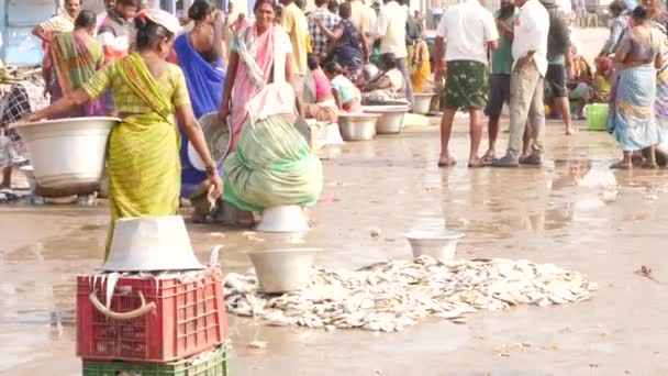Menn Som Frakter Fisk Kasser Fisk Bakken Chirala Fiskemarked India – stockvideo