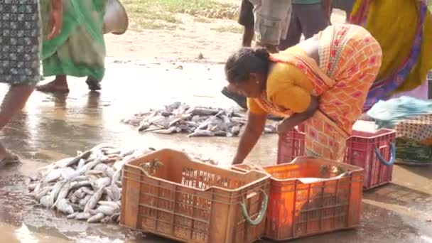 Μια Γυναίκα Συσκευάζει Ψάρια Ένα Δίσκο Στην Ψαραγορά Άνθρωποι Περπατούν — Αρχείο Βίντεο
