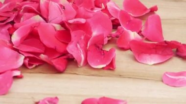 Romantik uçan ışık kırmızı gül yaprakları arka plan