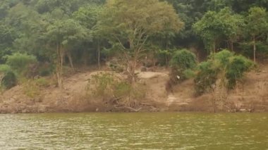 Çalı ve taşlı bir sahilin ve yeşil bir denizin video klibi.