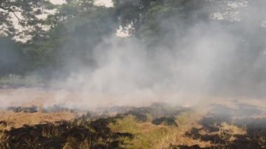 Sönmüş ateş, yanmış küller atmosfere duman yayıyor.