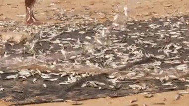 Birisi onun ağındaki küçük balıkları ayırıyor.