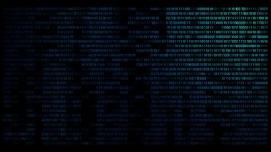 Dijital ikili veri, yayın kodu arkaplanı