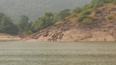 Orman arka planı, uçurumun kenarında tepe ve yeşil deniz.