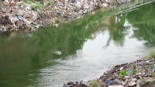 Çeşitli Çöp Çöp Ile Kirli Nehir — Stok video