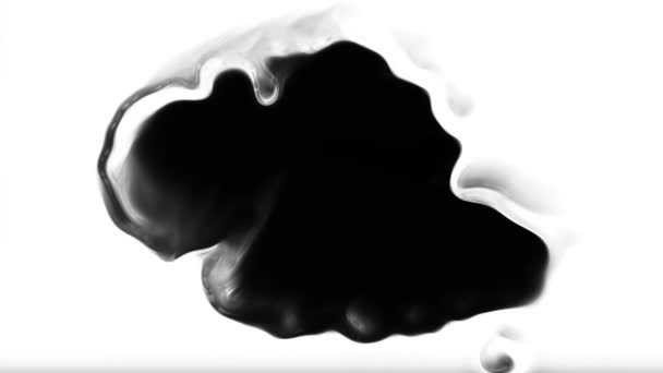 Barva Krvácející Květ Přechod Impress Top Quality Ink Blot Animace — Stock video