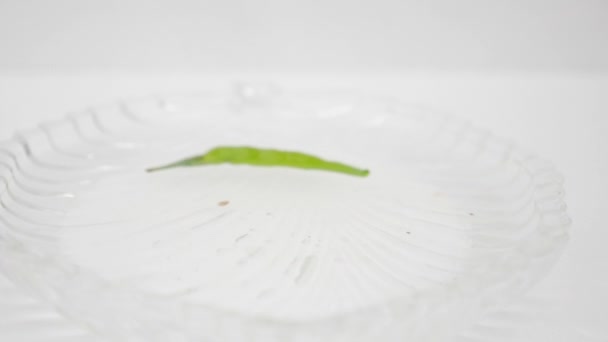 Spada Zielona Papryka Chili Płytki Wody — Wideo stockowe