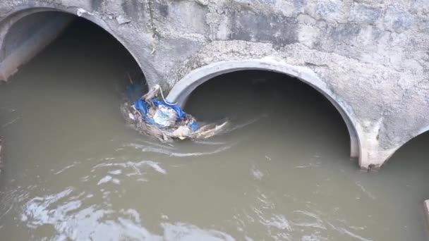 Kırsal Kanallarda Kanalizasyondan Kümese Akan — Stok video