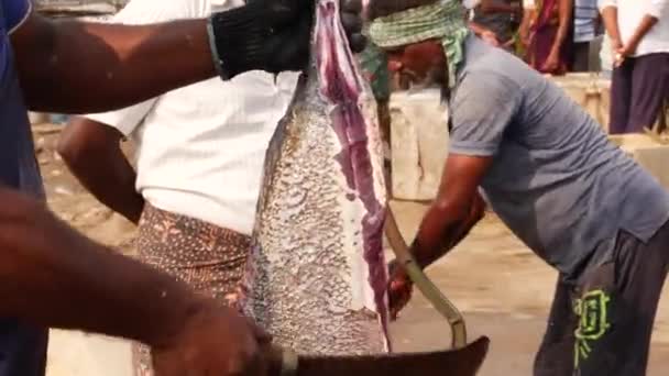 Человек Вырезающий Острые Края Большой Рыбы Хвостовой Части — стоковое видео