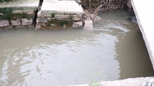 Contaminación Del Agua Basura Basura Con Agua — Vídeo de stock