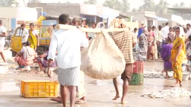 Dois Homens Carregando Grande Saco Peixe Soltando Desatando Peixes Mercado — Vídeo de Stock