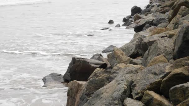 Deniz Kıyısındaki Büyük Kayalara Çarpan Dalgaların Yakın Çekimi — Stok video