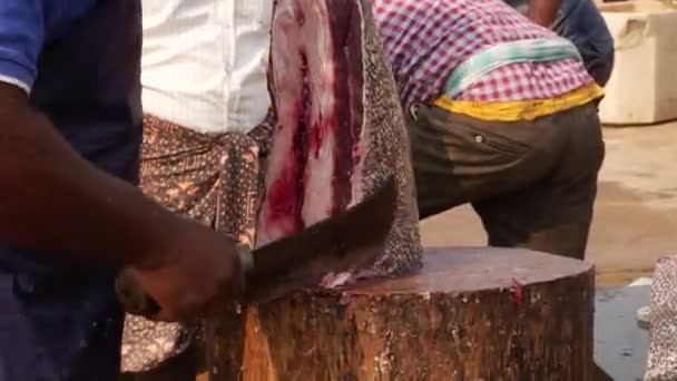 Uomo Che Usa Una Taglierina Affilata Tagliare Coda Pesce Molto — Video Stock