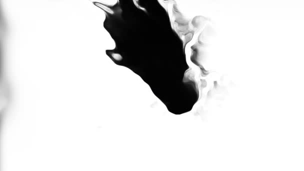 Tinta Vízben Fekete Akvarell Tinta Lassú Mozgás Átmenet Csepp Fehér — Stock videók