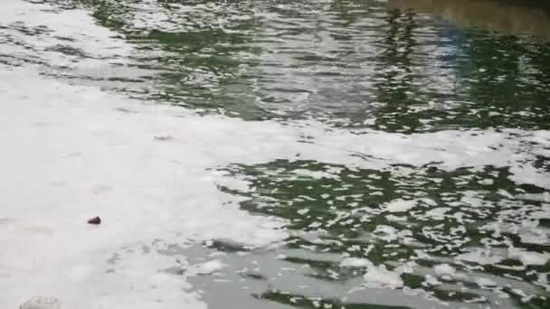 Огромная Куча Мусора Водой — стоковое видео