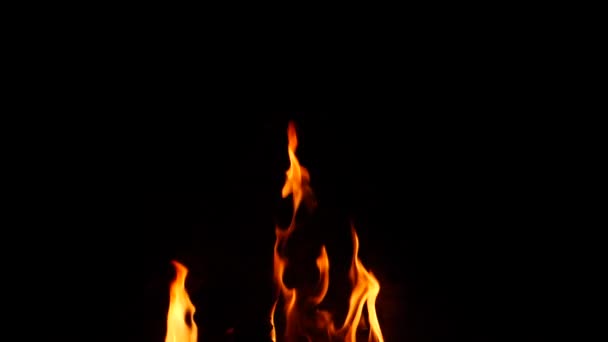 Tűz Enyhe Lángok Felfelé Fekete Háttér — Stock videók