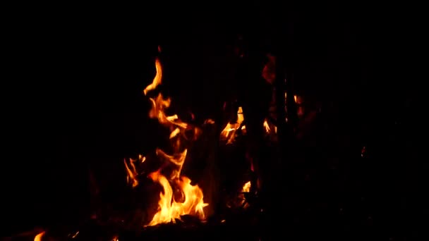 Vídeo Full Fuego Ardiente Llamas Amarillas Oscuridad — Vídeos de Stock