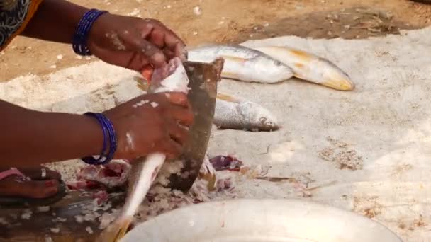 Kvinna Som Använder Begravd Kniv För Att Skära Genom Fiskar — Stockvideo