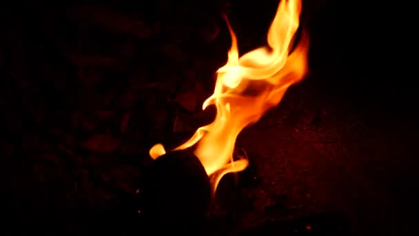 Fuego Ardiendo Desde Punto Iluminando Fondo Oscuro — Vídeos de Stock