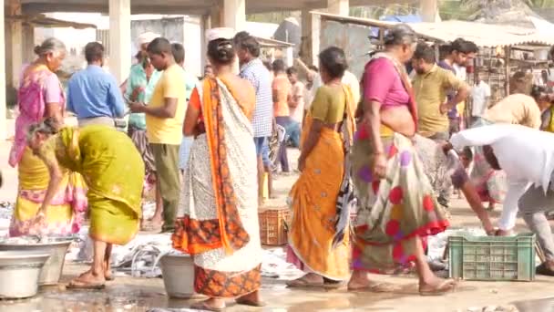 Embalaje Transporte Peces Por Parte Las Mujeres Chirala Fish Market — Vídeos de Stock