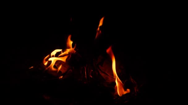 Hořící Oheň Žlutý Oranžový Plamen Tmě — Stock video