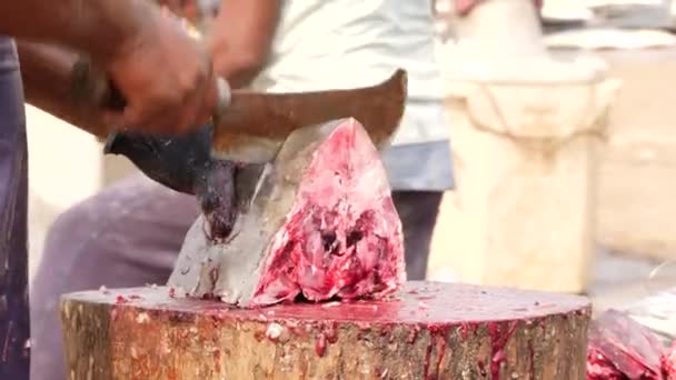 Człowiek Tnący Rybę Bardzo Silną Kością Potrzebował Trochę Czasu Przeciąć — Wideo stockowe