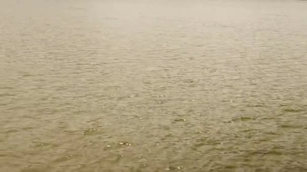 Hermosa Vista Natural Foco Lente Movimiento Mar — Vídeos de Stock