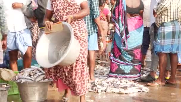 在印度美联社Chirala鱼市场 大量的地面鱼类和运载鱼类的妇女 2022年12月 — 图库视频影像