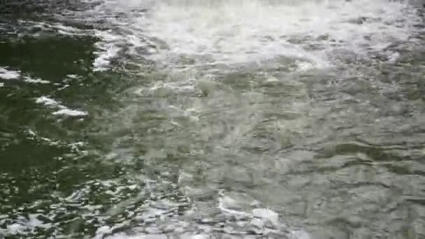 Oceán Odpadků Březích Řeky Znečištění Vody — Stock video