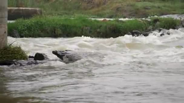 Кидається Річка Камінням Спірографія Скеля Розділяє Річку — стокове відео