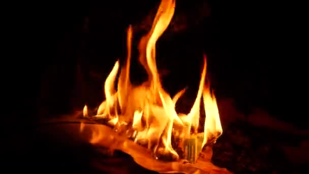 Fuego Ardiendo Vigorosamente Fondo Oscuro Llama Amarilla — Vídeos de Stock