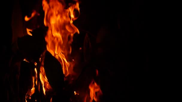 Feu Flamboyant Brûlant Vigoureusement Derrière Substance Dans Obscurité — Video