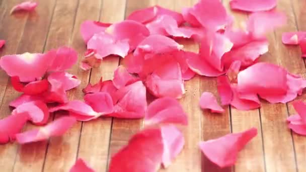 Rose Petals Falling Slow Motion Wood Table — Stock Video