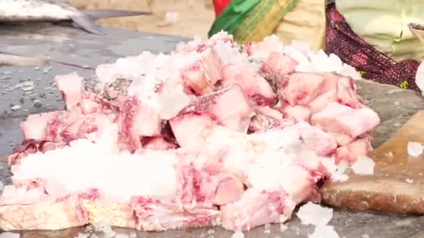 Большая Рыба Разрезанная Куски Столе Женщина Упаковывающая Ледяные Блоки Кладущая — стоковое видео