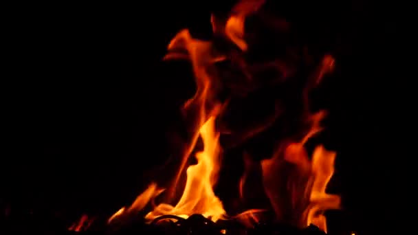 Hořící Oheň Temnotě Červený Plamen Efekt — Stock video