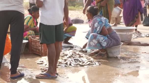 パンに座って魚を箱に詰め 周りの女性 シララ魚市場 インド 12月2022 — ストック動画