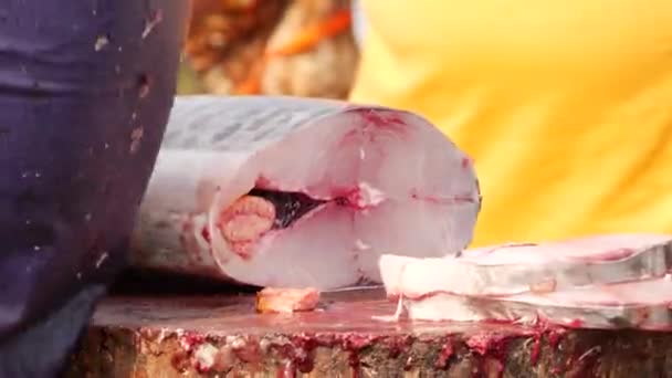 Тонкие Кусочки Большой Рыбы Пойманы Упакованы Удаляя Внутренности — стоковое видео