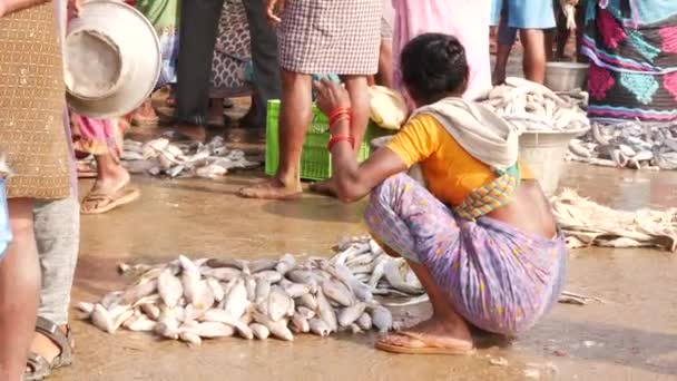 Mujer Agachada Cerca Gran Cantidad Peces Suelo Mercado Pescado Chirala — Vídeo de stock