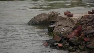 Nehrin kıyısındaki kayaların kısa bir klibi, altından akan nehirler.