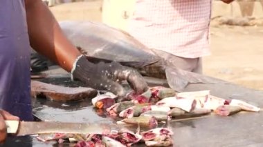 Masadaki küçük balık parçaları, onları alıp küçük parçalara ayıran adam.