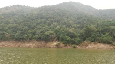 Çalı tepe deniz tarafı, serin hareket eden yeşil deniz.