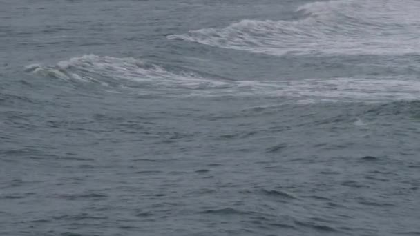 Vista Del Agua Mar Movimiento Imágenes Agua Mar — Vídeo de stock
