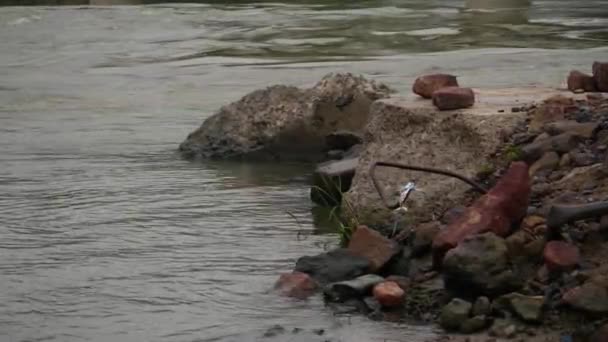 Short Clip Rocks Edge River Running River — стоковое видео