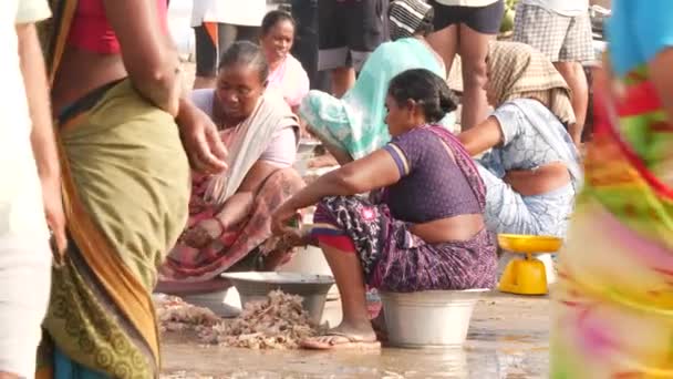 Två Kvinnor Tvättar Små Fiskar Fiskmarknad Chirala Fish Market Indien — Stockvideo